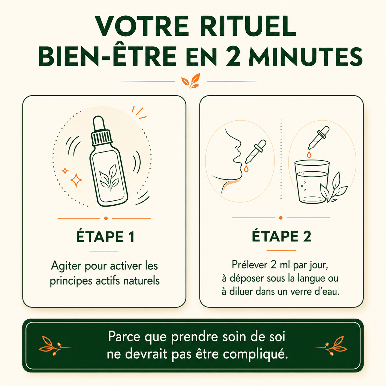 Cure Détox Foie & Anti-Ballonnements