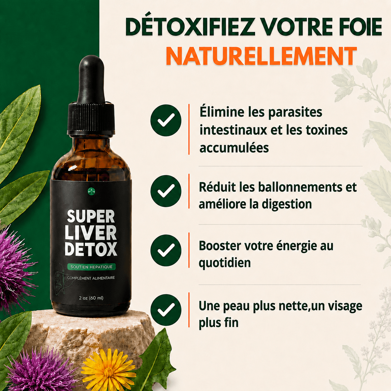 Cure Détox Foie & Anti-Ballonnements